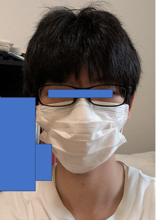 マスクと眼鏡をしているpkki