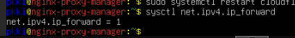 sysctl net.ipv4.ip_forward
