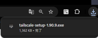 tailscale-setup-1.90.9.exe