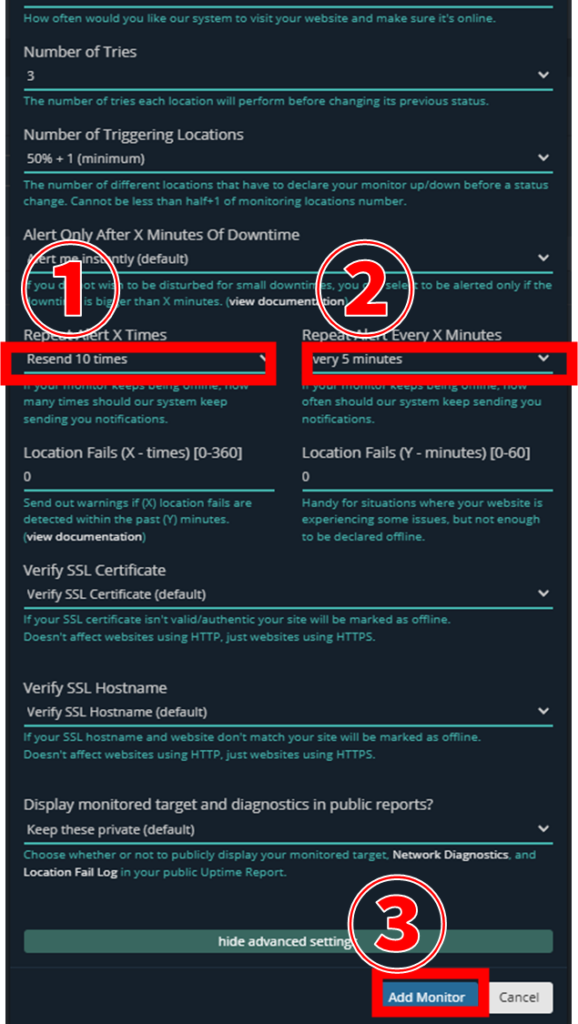 HetrixTools アップタイムモニター作成 詳細設定