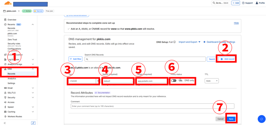 pulsetic CloudFlare カスタムドメイン設定