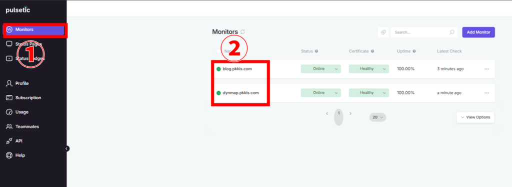 pulsetic モニター選択